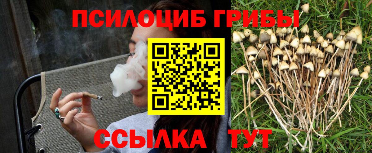 Псилоцибиновые грибы мухоморы  Вход с VPN  Трёхгорный  Псилоцибиновые грибы Psilocybine cubensis 